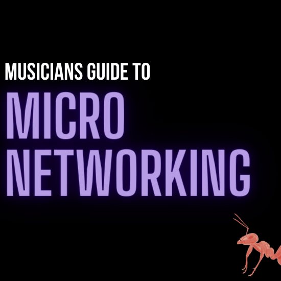 The Musician’s Guide to Micro Networking